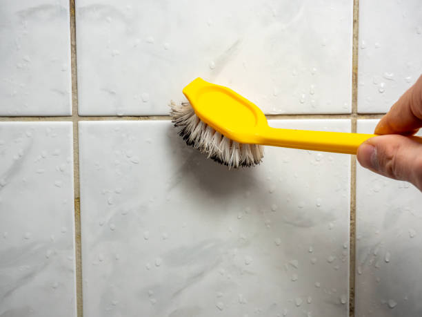 Best Toxic Mold Removal  in East Village, CT