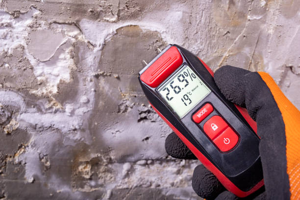 Best Crawl Space Mold Removal  in East Village, CT