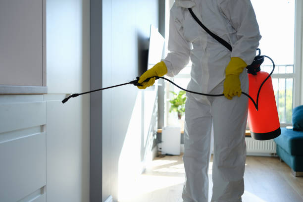 Best Residential Mold Removal  in East Village, CT