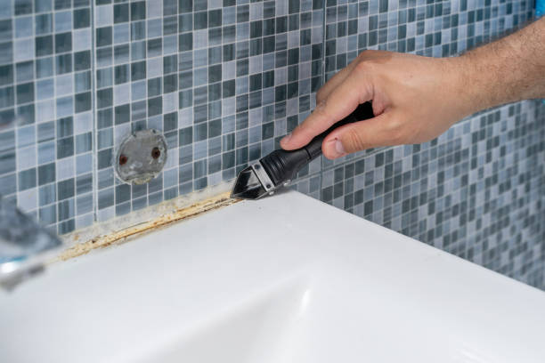 Best Emergency Mold Removal  in East Village, CT