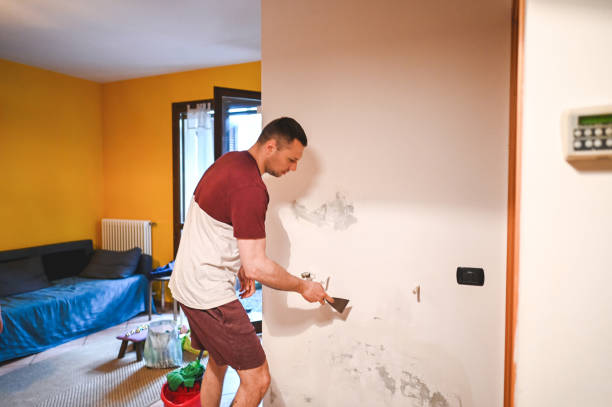 Best Affordable Mold Removal  in East Village, CT