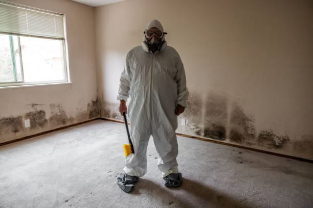 Best Attic Mold Removal  in East Village, CT